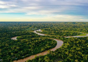 Carrera por salvar la Amazonía deja de lado al Cerrado, la crucial sabana brasileña