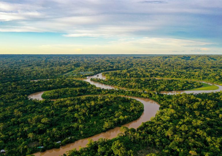 Carrera por salvar la Amazonía deja de lado al Cerrado, la crucial sabana brasileña