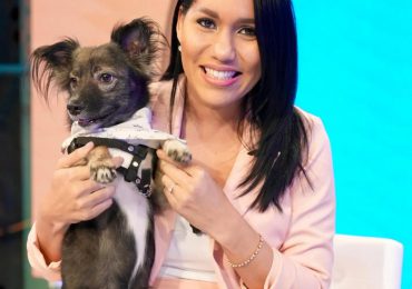 FEDDA felicita y agradece designación de Roxanna Reyes frente a los casos de maltrato animal
