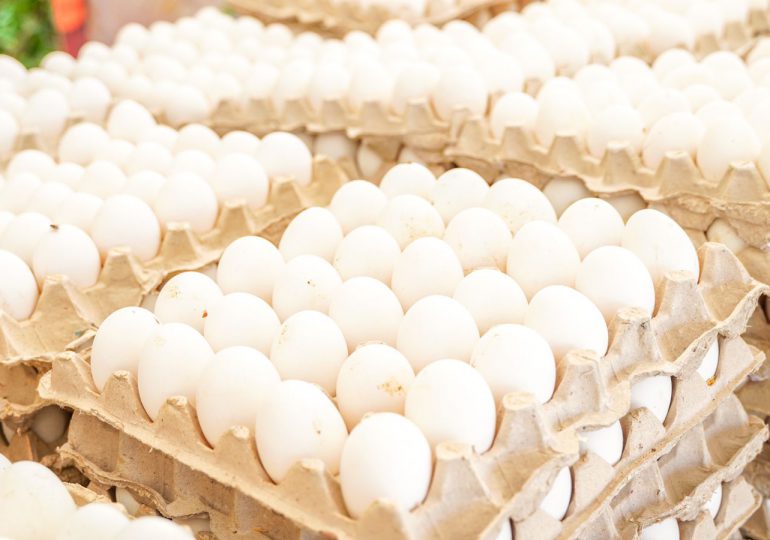 Gobierno dispone este jueves la venta de cartones de huevos a 100 pesos en 76 supermercados a nivel nacional