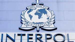 Interpol cumple 100 años luchando contra el crimen y contra las polémicas