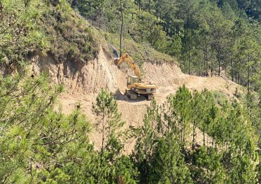 Denuncian operación de tala en cientos de árboles en Constanza