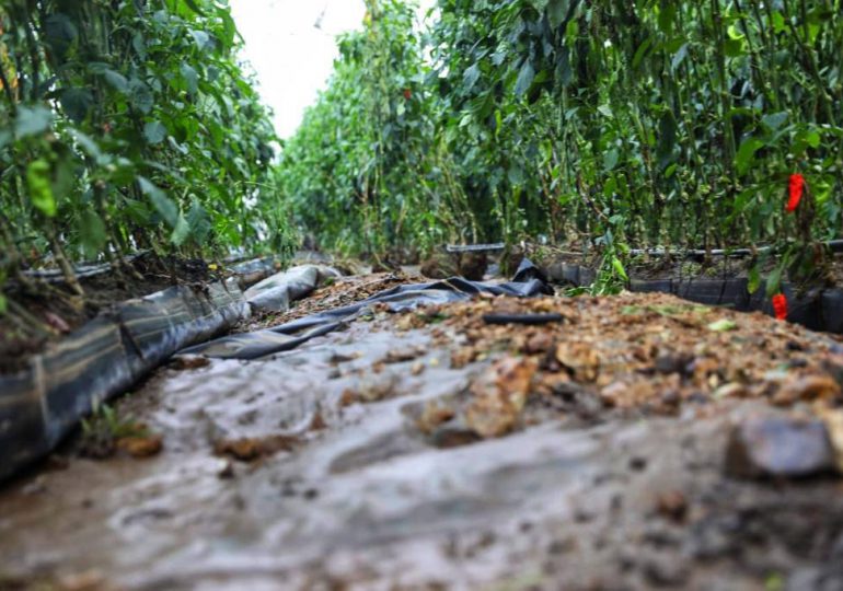 Gobierno auxilia productores de Rancho Arriba afectados por las lluvias