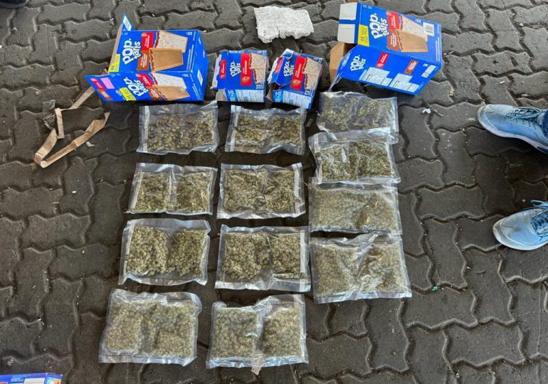 Ocupan en Puerto Haina 12 paquetes de marihuana escondidos en cajas de galletas