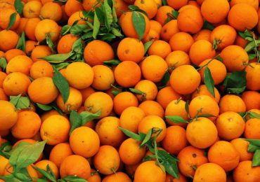 Artículo | El llanto de las naranjas
