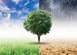 RD logra en la COP28, junto a otras naciones la aprobación del fondo sobre cambio climático