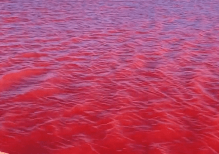 #VIDEO: ¡Se repite la historia! Aguas del río Nilo se tiñen de rojo