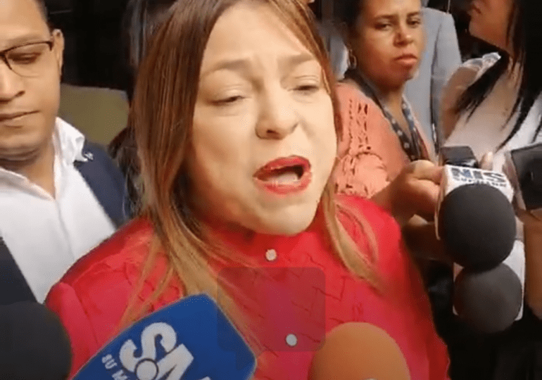 Diputada del PLD: situación en la frontera estará controlada cuando Abel Martínez gane la presidencia