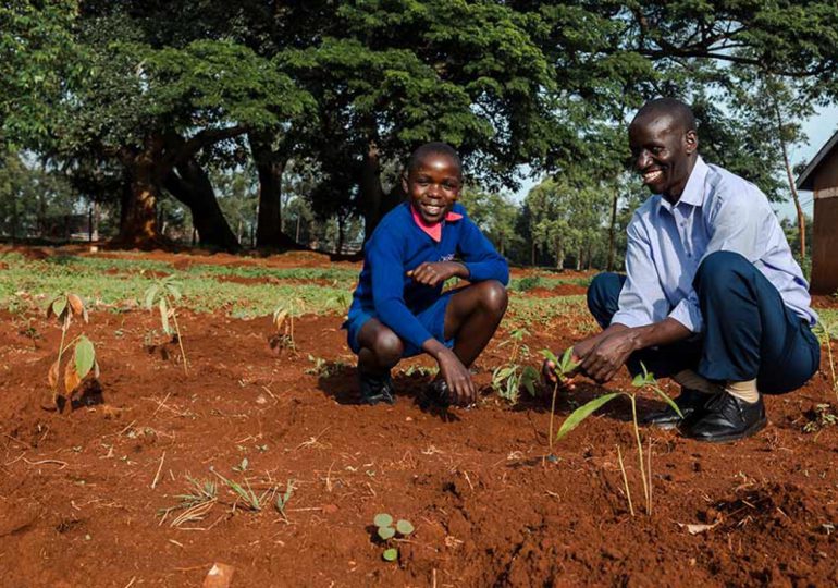 Kenia declara el 13 de noviembre como día feriado para plantar árboles