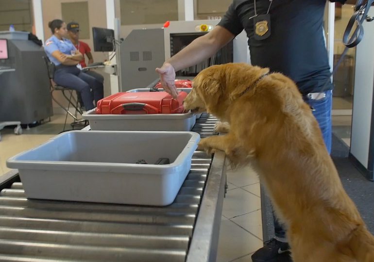 VIDEO | DNCD refuerza operativos contra el narcotráfico en aeropuertos, puertos y otros puntos del país