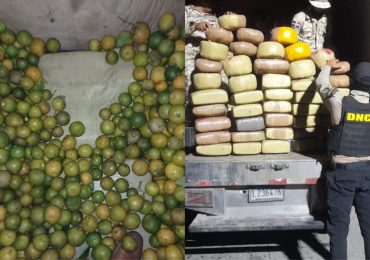 VIDEO | Cesfront y DNCD incautan en carga de naranjas 368 libras de marihuana en Elías Piña