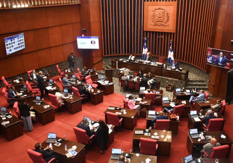 Senado aprueba presupuesto general del Estado 2024