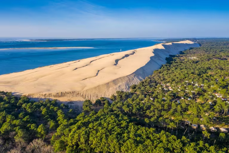Conozca la duna más alta de Europa: un espectacular bosque, el Atlántico y una vista impresionante