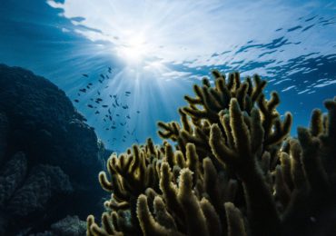 El océano absorbe más carbono de lo previsto, según un estudio