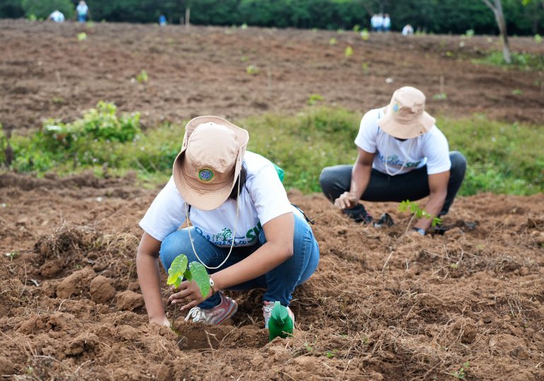 Grupo SID siembra más de 7 mil plantas en jornada de reforestación