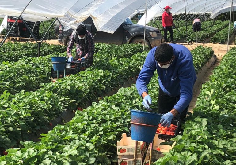 Agricultura paga más de 600 millones a productores y proveedores de diferentes servicios