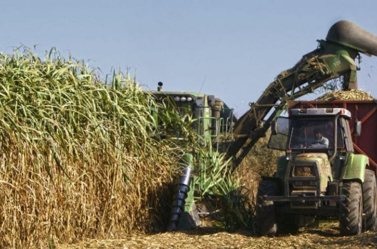 Productores de azúcar opuestos a la inclusión de ese producto en la ley de importación, cero aranceles