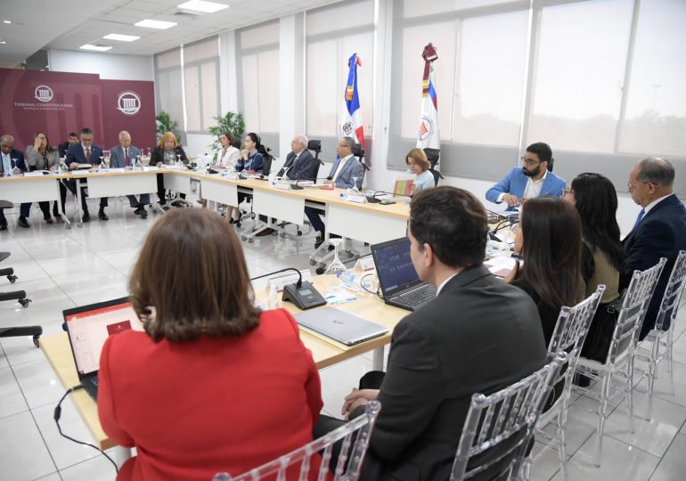 Presidente del Tribunal Constitucional y jueces participan en taller de inducción