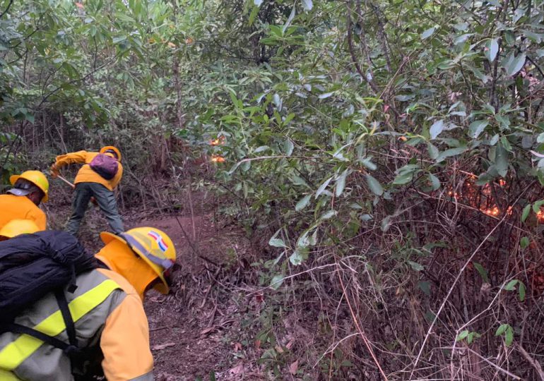 Bomberos forestales combaten un incendio en Loma Novillero