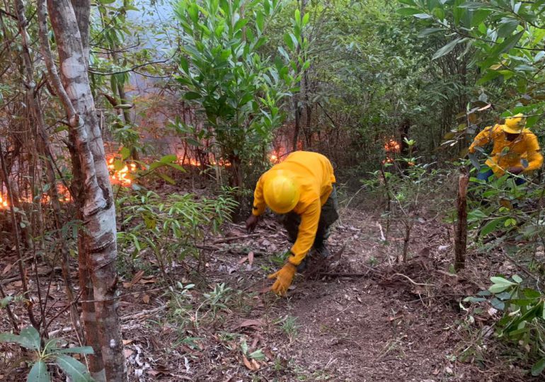 Bomberos forestales investigan si hubo responsables en el incendio que extinguieron la noche del martes en Loma Novillero