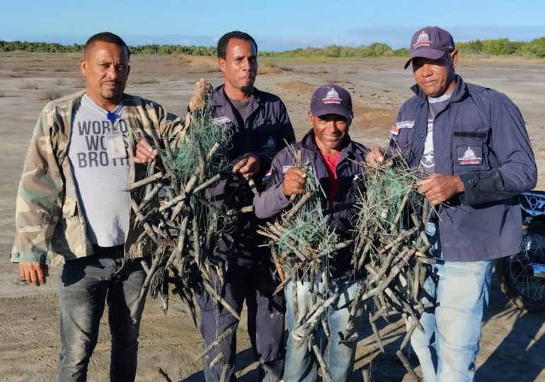 Medio Ambiente retira más de 200 trampas para flamencos en Estero Balsa