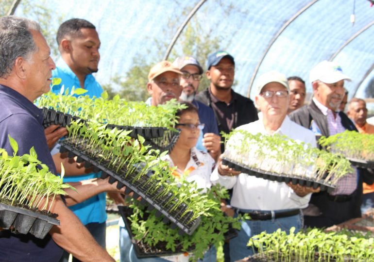 Agricultura refuerza y aumenta plan de huertos familiares y escolares