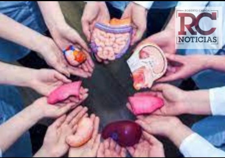 Aumenta la tasa de donantes de organos y tejidos