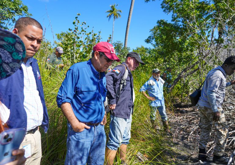 Medio Ambiente: en el manglar de El Estillero, Samaná, se afectaron 223 tareas