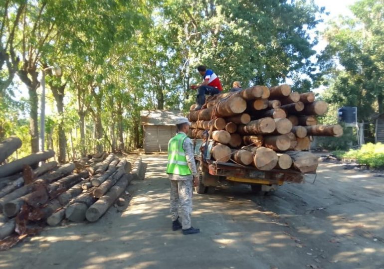 Senpa apresa 368 personas y retiene 207 vehículos por violar Ley de Medioambiente