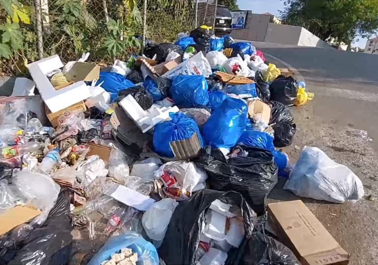 Concejal del PRM asegura Alcaldía abandona recogida de basura