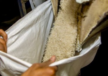 Equipo agropecuario PLD denuncia nuevas importaciones de arroz en plena cosecha