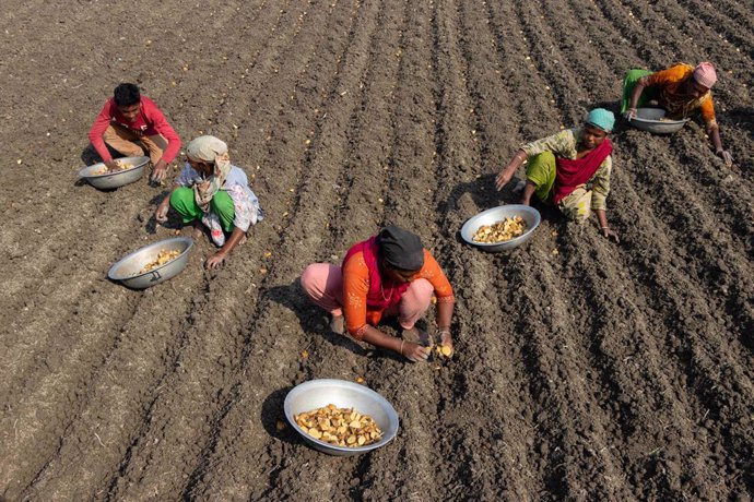 FAO: Las mujeres y los pobres en el campo son los más afectados por el cambio climático
