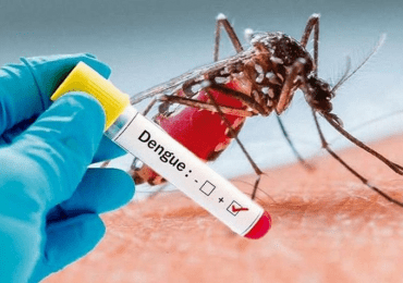 El dengue: enfermedad viral transmitida por mosquitos