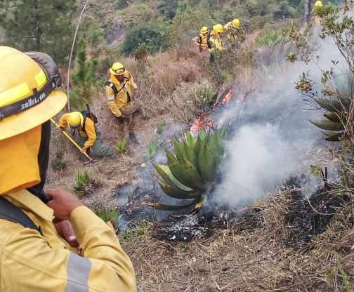 <strong>Ministerio de Medio Ambiente informa que incendio en el Parque Nacional José del Carmen Ramírez está controlado</strong>