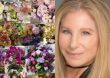 Barbra Streisand recibe arreglos de flores por su cumpleaños 82 “El interior de mi casa es un jardín”