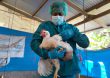 La transmisión de la gripe aviar al hombre es una “gran preocupación”, advierte la OMS