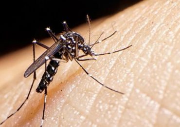Dengue causa al menos 35 muertes en Centroamérica en 2024