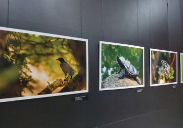 Museo Natural inaugura exposición fotográfica “Enfoque Fauna”