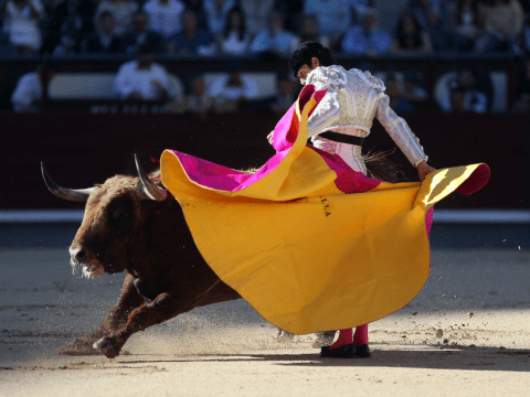 Congreso de Colombia aprueba la prohibición de las corridas de toros a partir de 2027