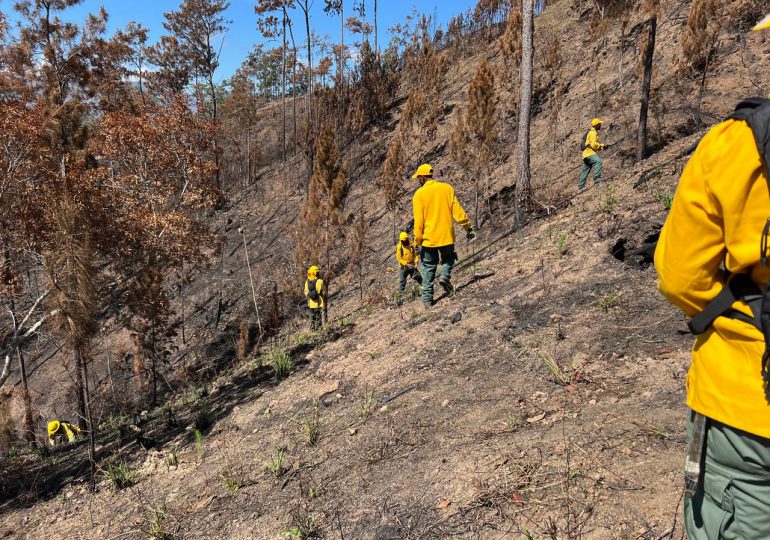 Programa Nacional de Manejo del Fuego destaca que los incendios forestales se redujeron en un 58% en el primer cuatrimestre