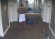 Brutal agresión de Sean ‘Diddy’ Combs a su exnovia Cassie revelada en video de seguridad