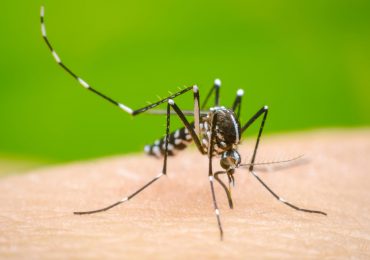 Especialista recomienda resultados de laboratorio antes de medicar a pacientes con síntomas de dengue