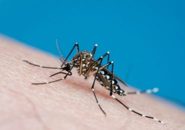 Honduras reporta al menos 20 muertos por dengue en 2024, peor registro de Centroamérica