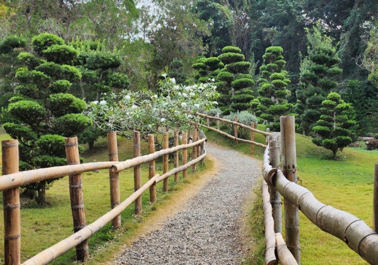 Por motivo a celebración del Día Mundial del Medioambiente el Jardín Botánico permitirá entrada gratuitas