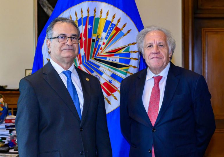 Presidente del TSE se reúne con el secretario general de la OEA Luis Almagro