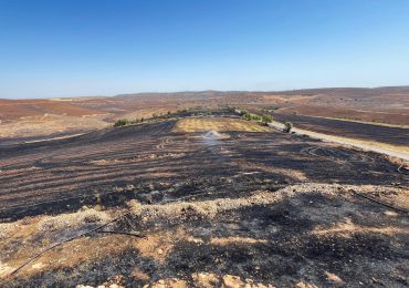 Al menos 11 muertos y decenas de heridos en incendio forestal en el sureste de Turquía