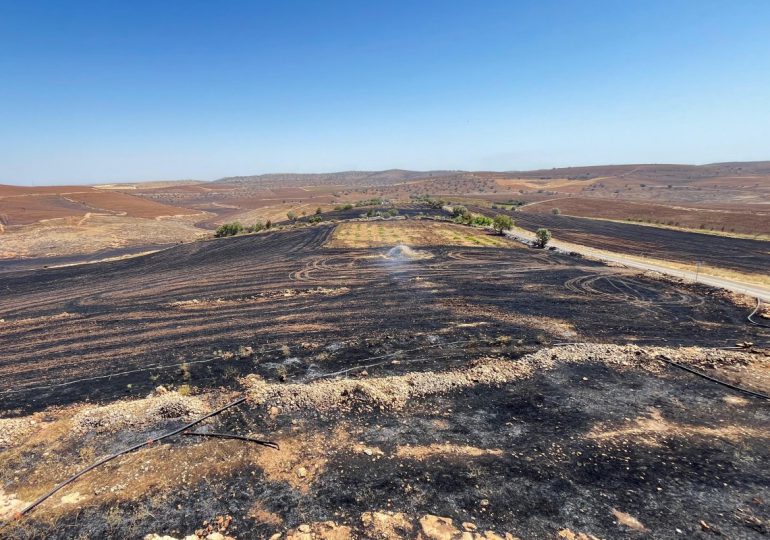 Al menos 11 muertos y decenas de heridos en incendio forestal en el sureste de Turquía