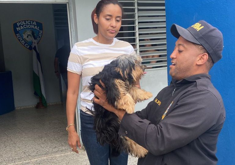 Policía recupera canino reportado como robado en Santo Domingo Norte