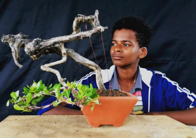 Regresa a Ágora Mall la exposición nacional de Bonsai