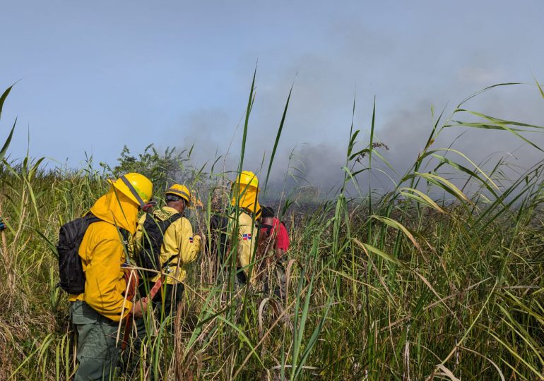 Bomberos forestales y guardaparques trabajan para controlar incendio en lagunas Cabarete y Goleta